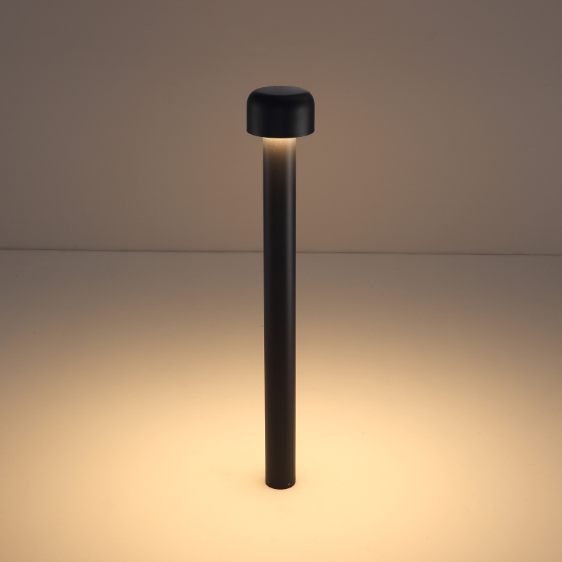 decorative LED lawn light